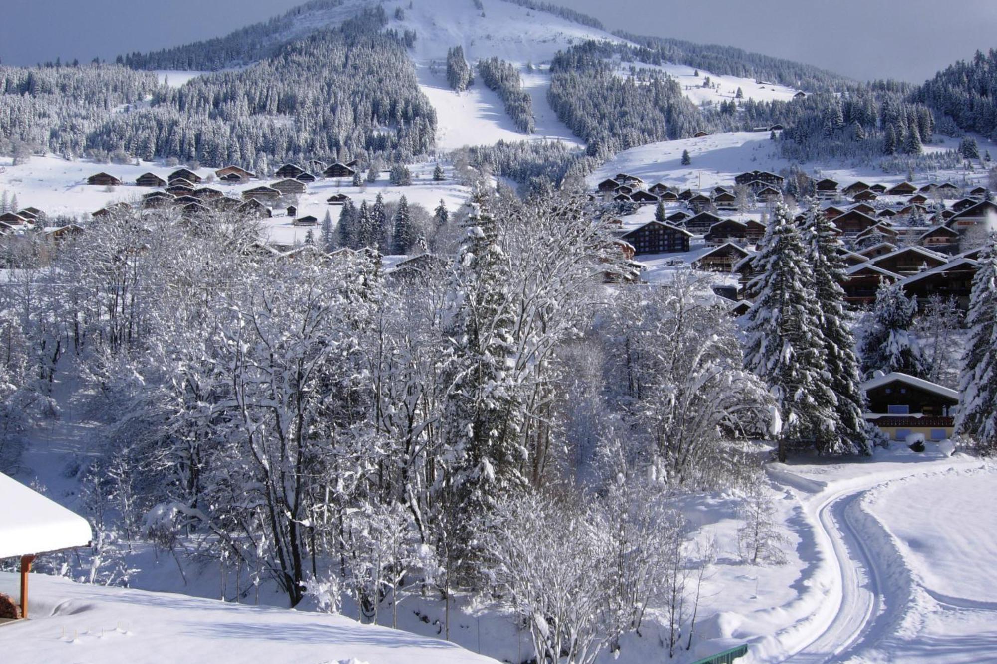 Au Bois De Lune Châtel Kültér fotó