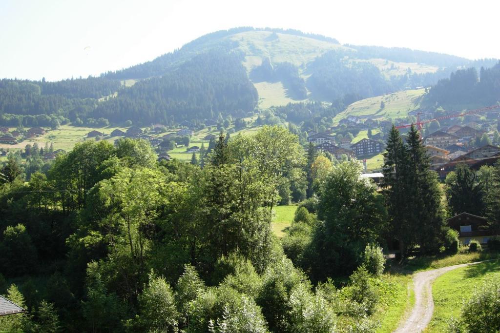 Au Bois De Lune Châtel Kültér fotó